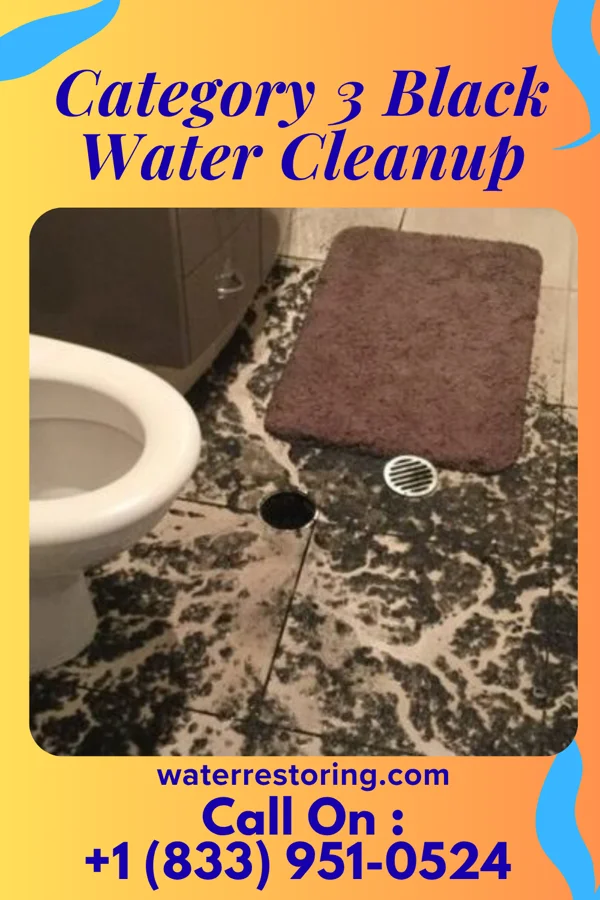Category 3 Black Water Cleanup in Lake Sumner, NM